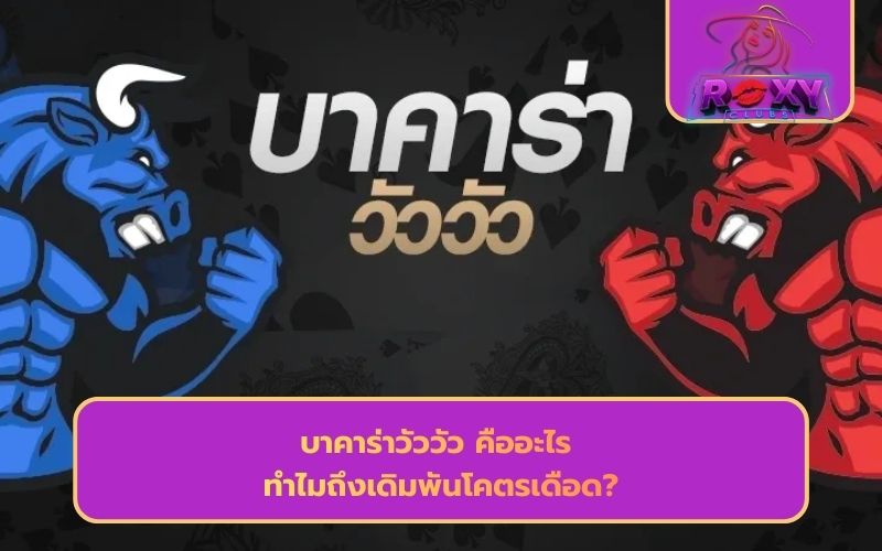 บาคาร่าวัววัว อัตราการจ่าย