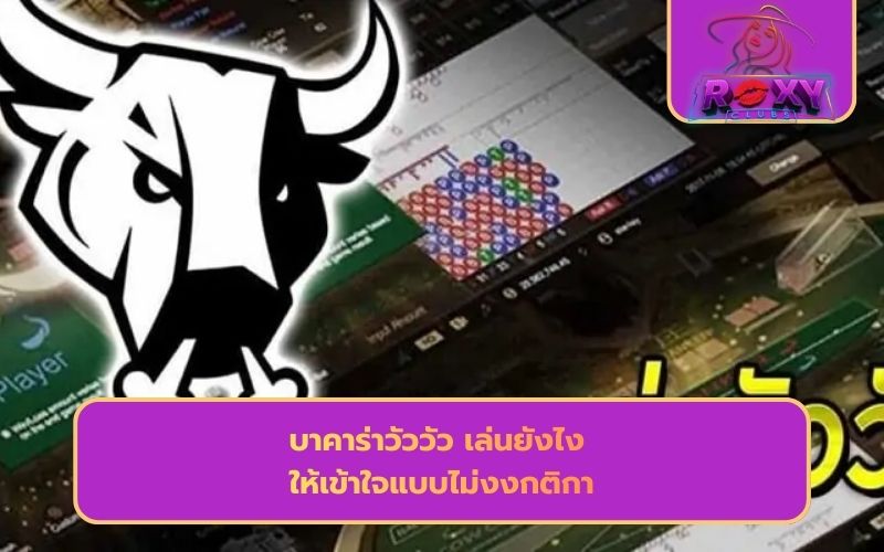 บาคาร่าวัววัว อัตราการจ่าย